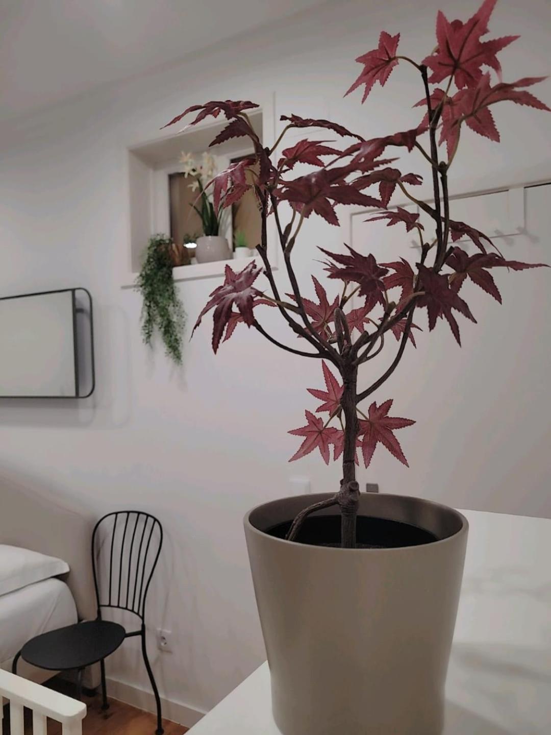 Hospedagem domiciliar Varanda Privada Iroom Lisboa